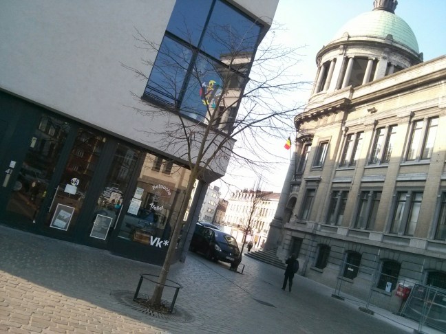 wp-1426423499425 image